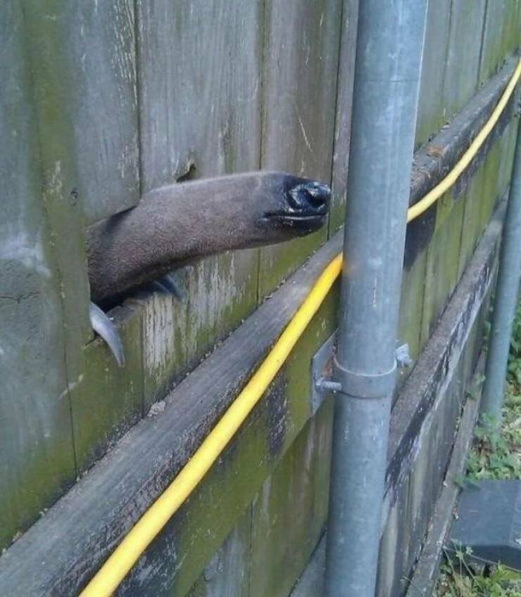 Daily Pictures. Part 1 (72 pics)